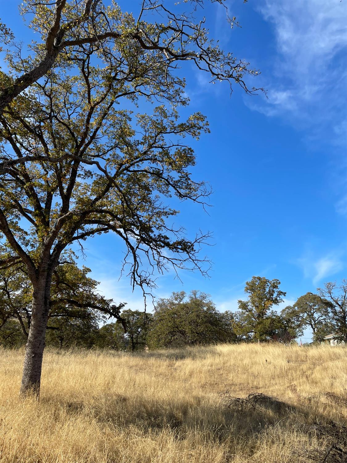 0 Buena Vista Dr, La Grange, CA 95329