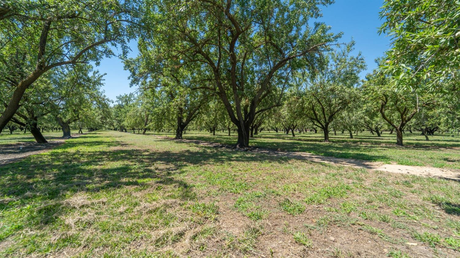 9141 Liberty, Winton, CA 95388