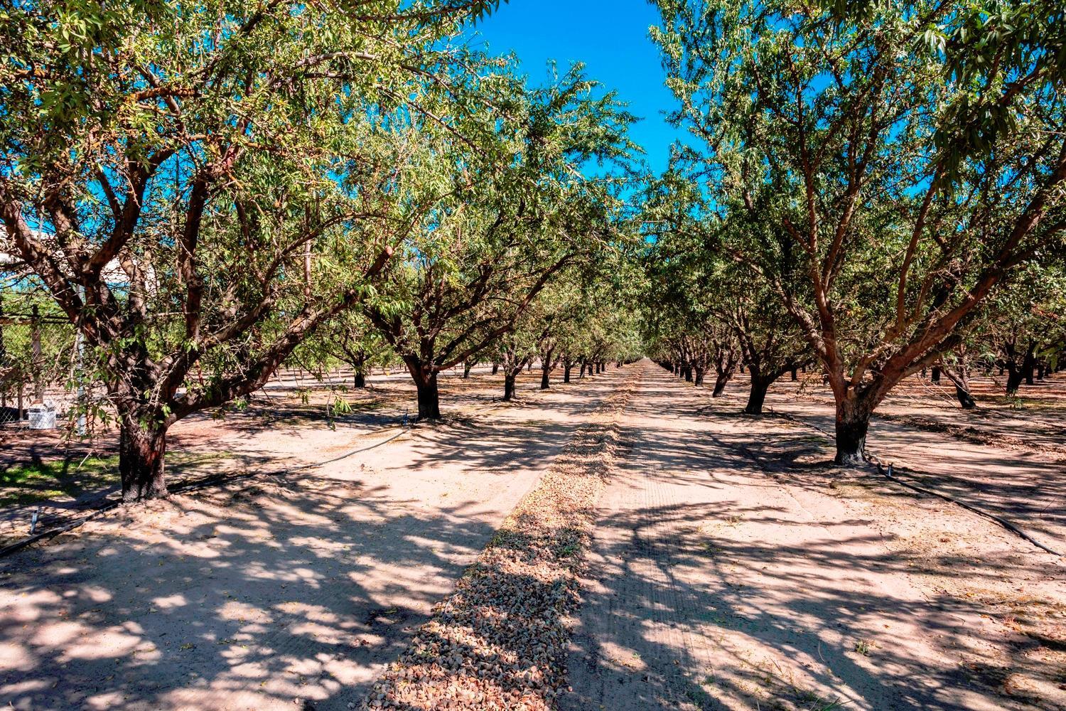 0 0 White Crane Rd, Atwater, CA 95301