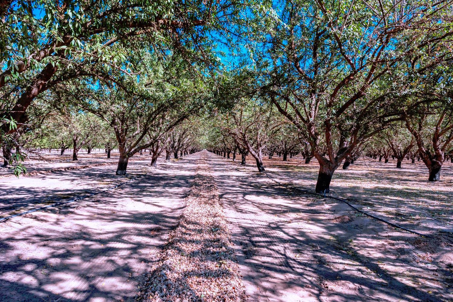 0 0 White Crane Rd, Atwater, CA 95301