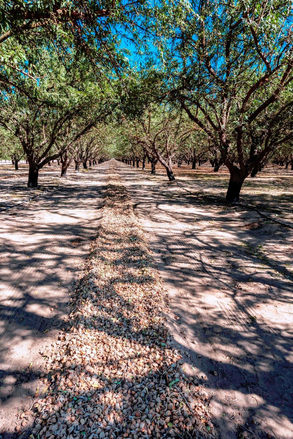 0 0 White Crane Rd, Atwater, CA 95301