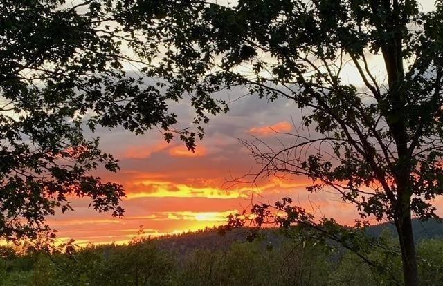 5060 Fong Dr, Copperopolis, CA 95228