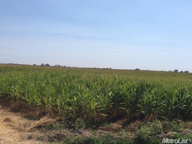 716 N Daubenberger Rd, Turlock, CA 95380