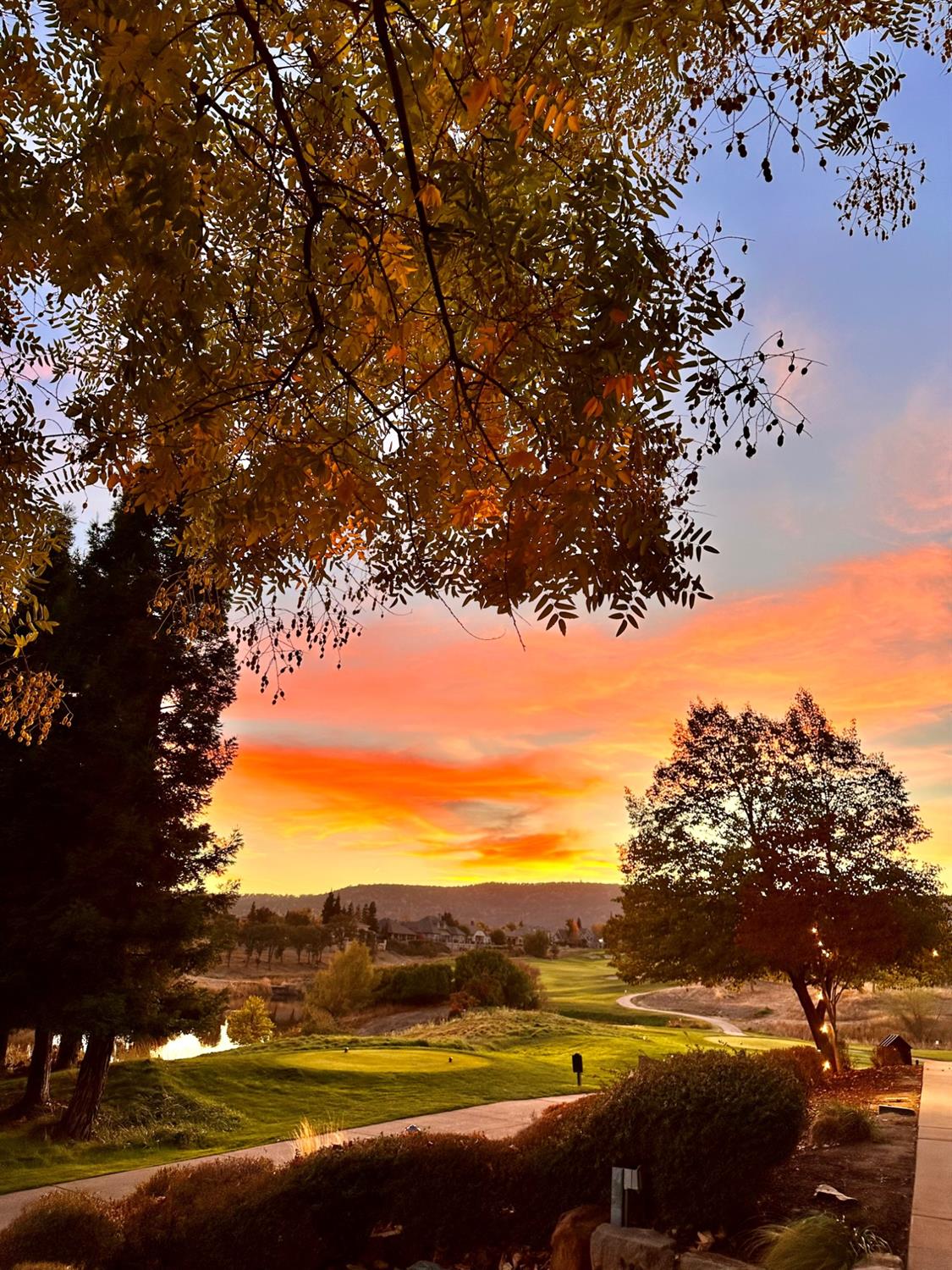 180 Hawkridge Rd #83, Copperopolis, CA 95228