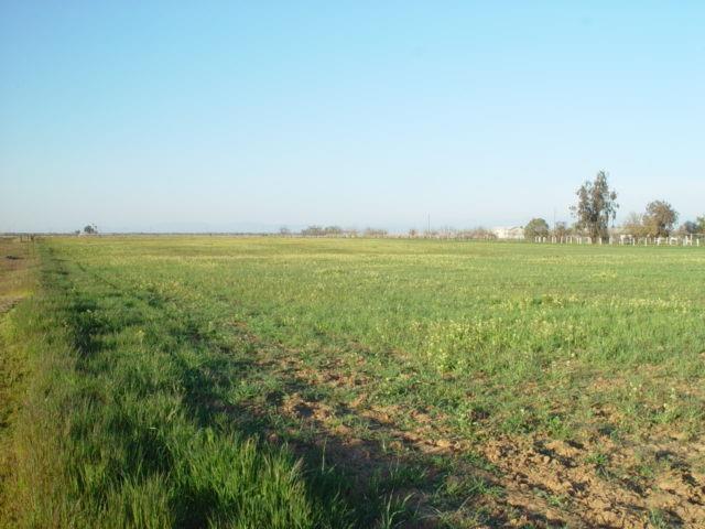 0 AVE. 22 1/2, Chowchilla, CA 93610