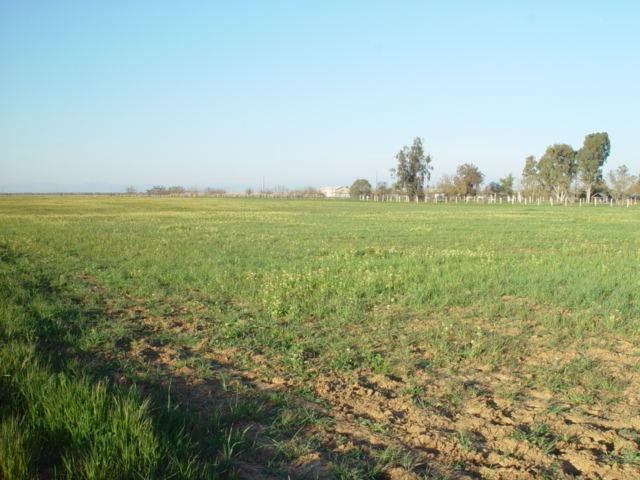 0 AVE. 22 1/2, Chowchilla, CA 93610