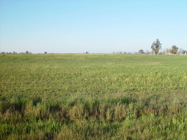 0 AVE. 22 1/2, Chowchilla, CA 93610