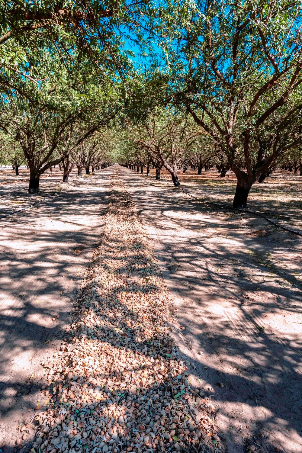 0 White Crane Rd, Atwater, CA 95301