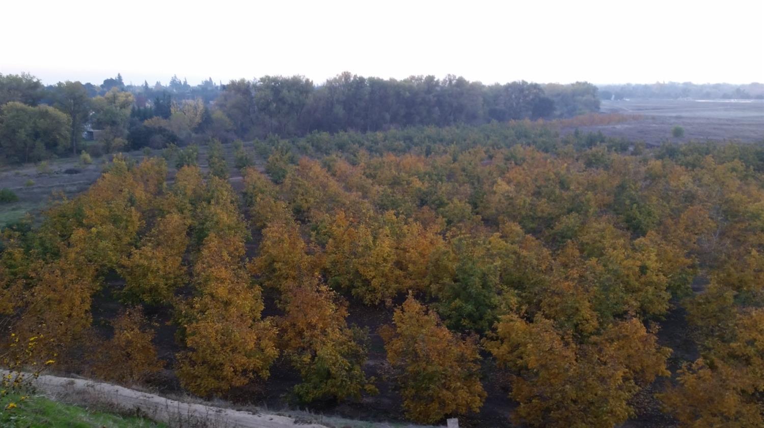 0 0 Jackson Rd, Oakdale, CA 95361