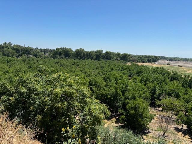 0 0 Jackson Rd, Oakdale, CA 95361