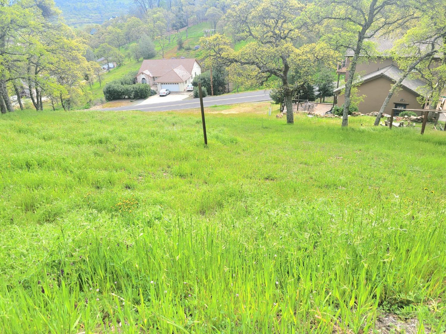 4045 Arrowhead St, Copperopolis, CA 95228