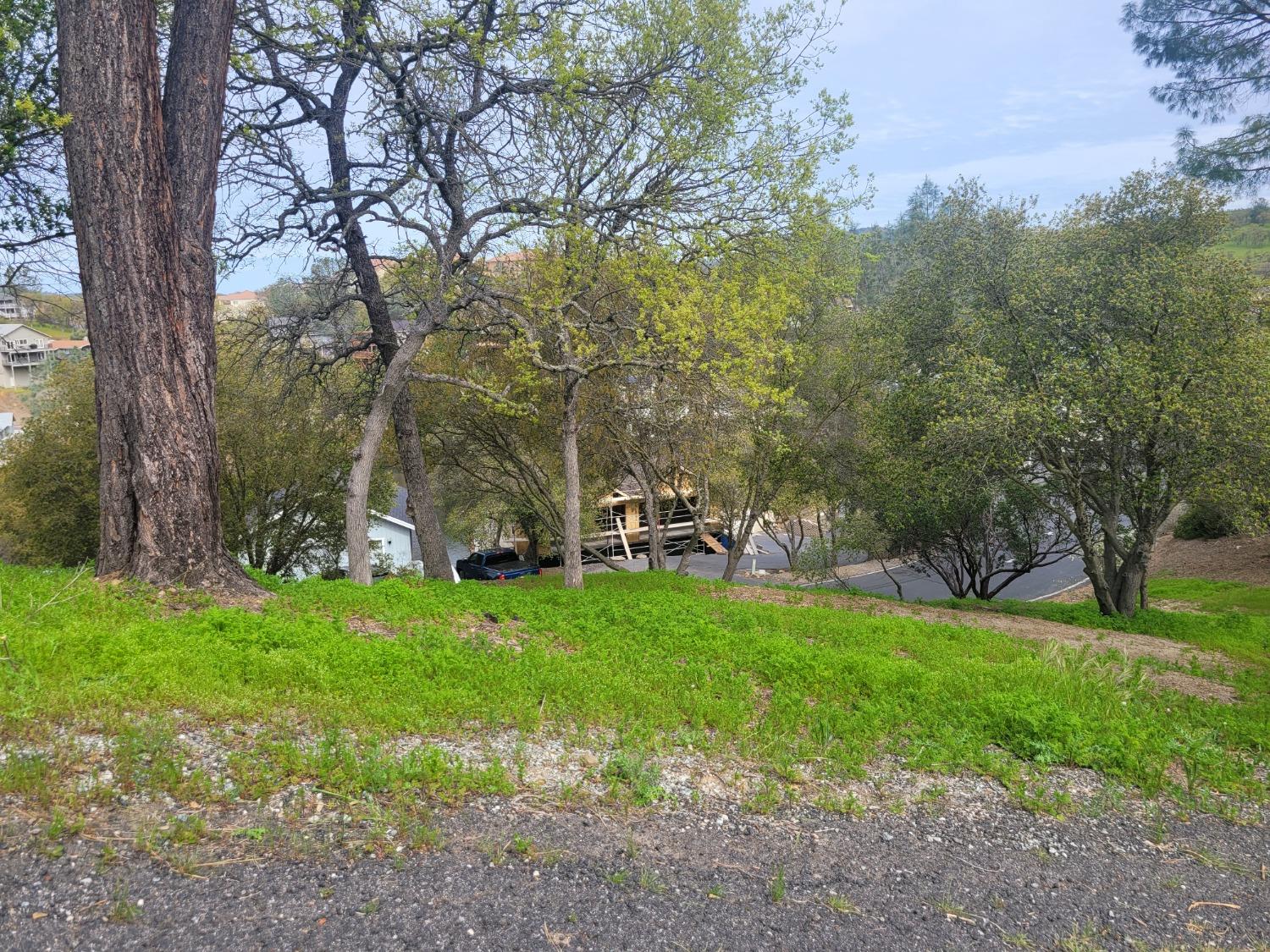 209 Oakhurst Ct, Copperopolis, CA 95228