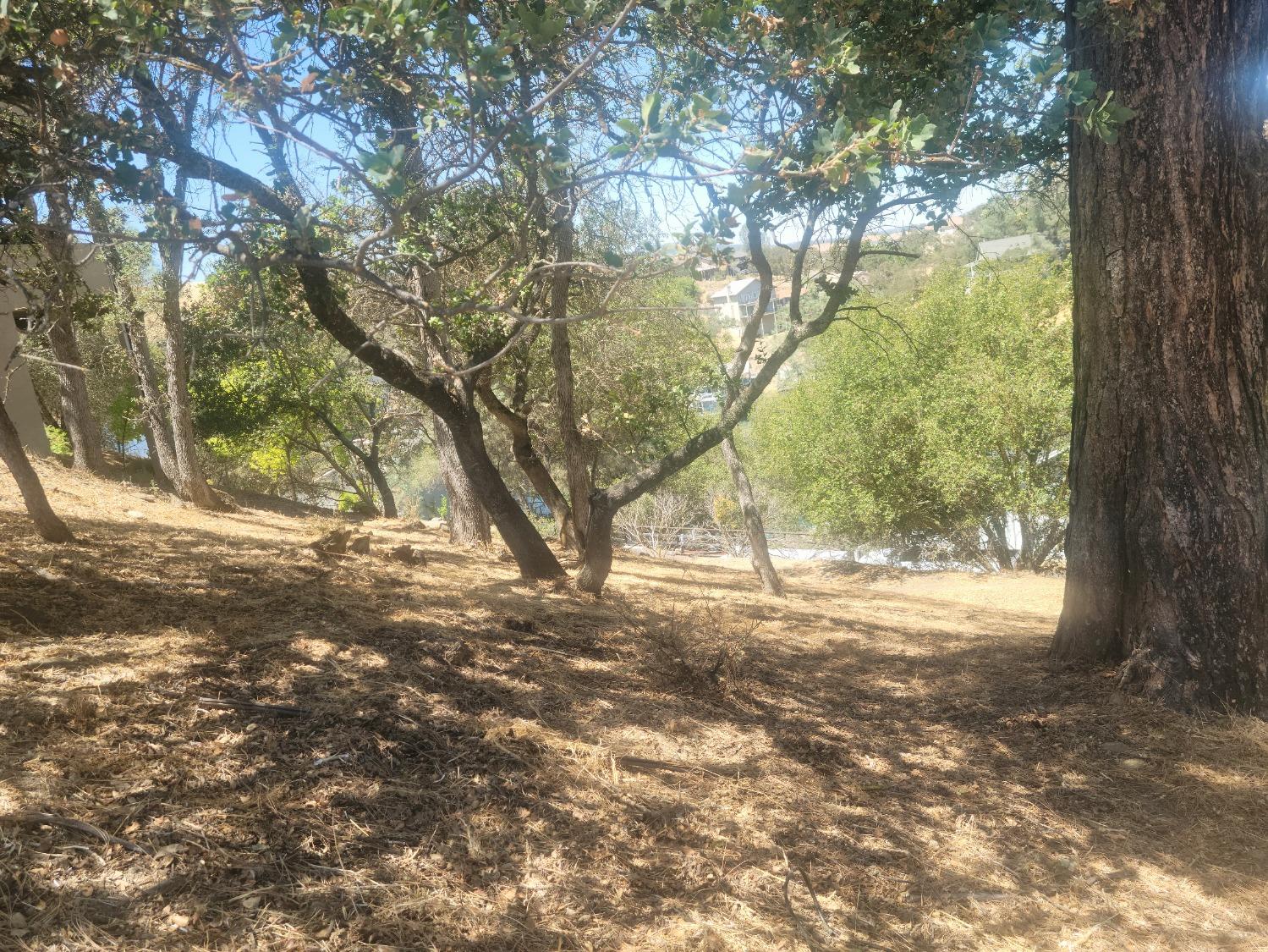 209 Oakhurst Ct, Copperopolis, CA 95228