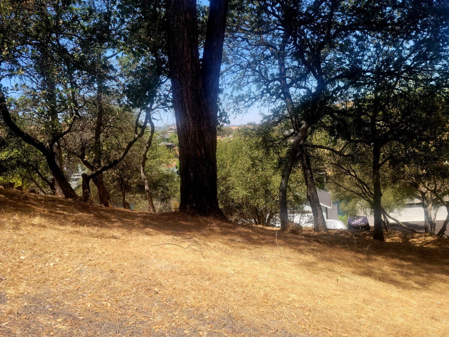 209 Oakhurst Ct, Copperopolis, CA 95228