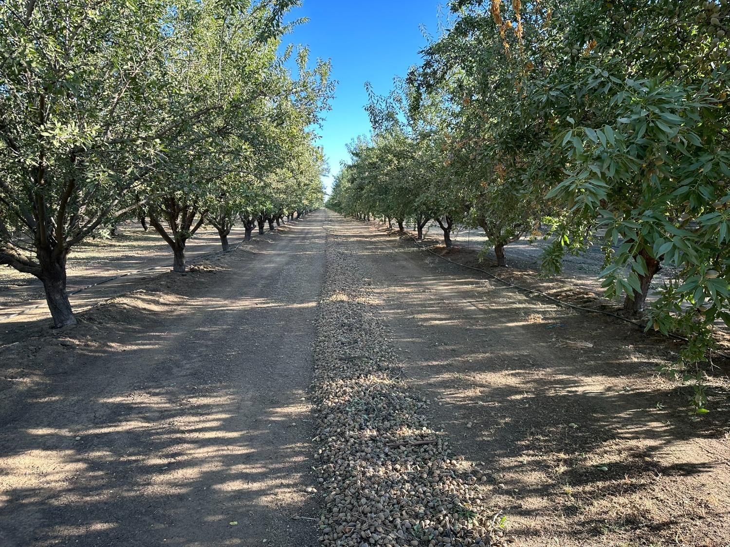 4506 Ispen Rd, Le Grand, CA 95333