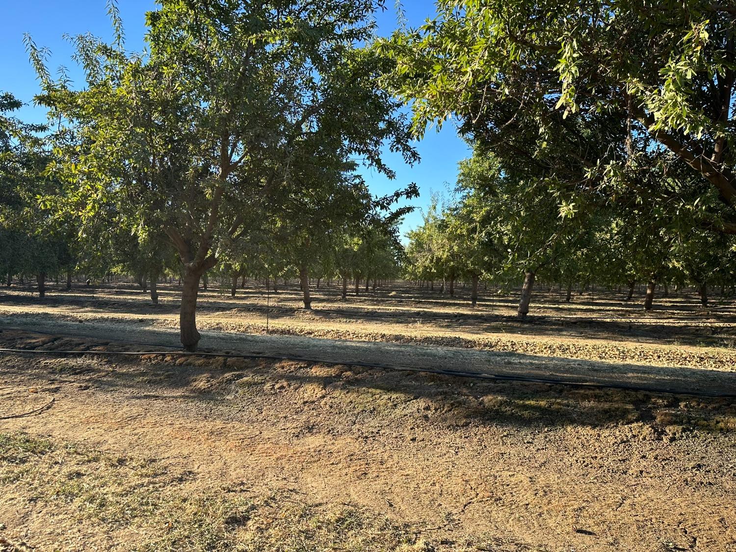 4506 Ispen Rd, Le Grand, CA 95333