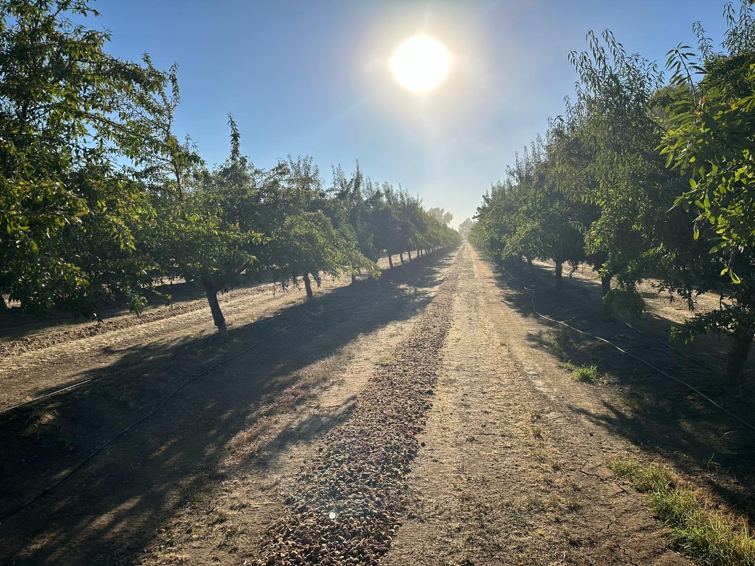 4506 Ispen Rd, Le Grand, CA 95333