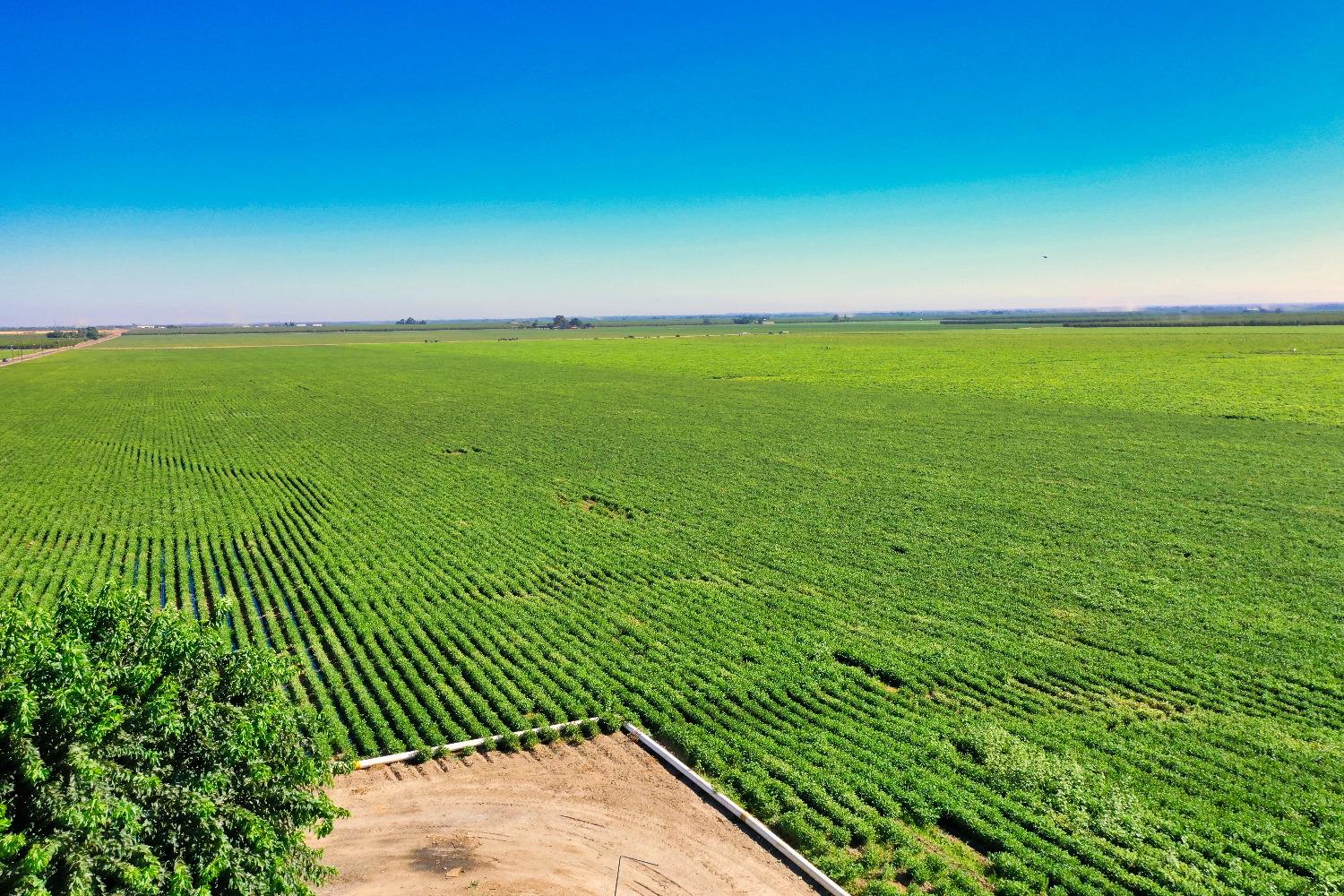 4942 Mccracken Rd, Patterson, CA 95363