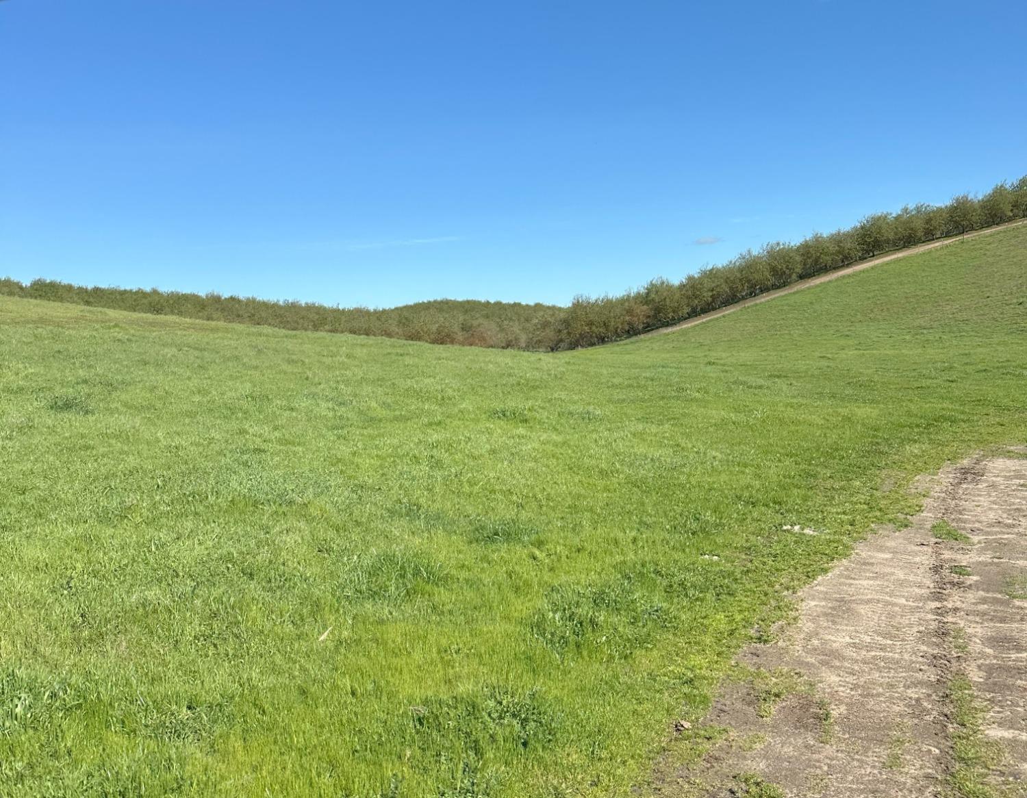 1100 Crabtree Rd, Waterford, CA 95386