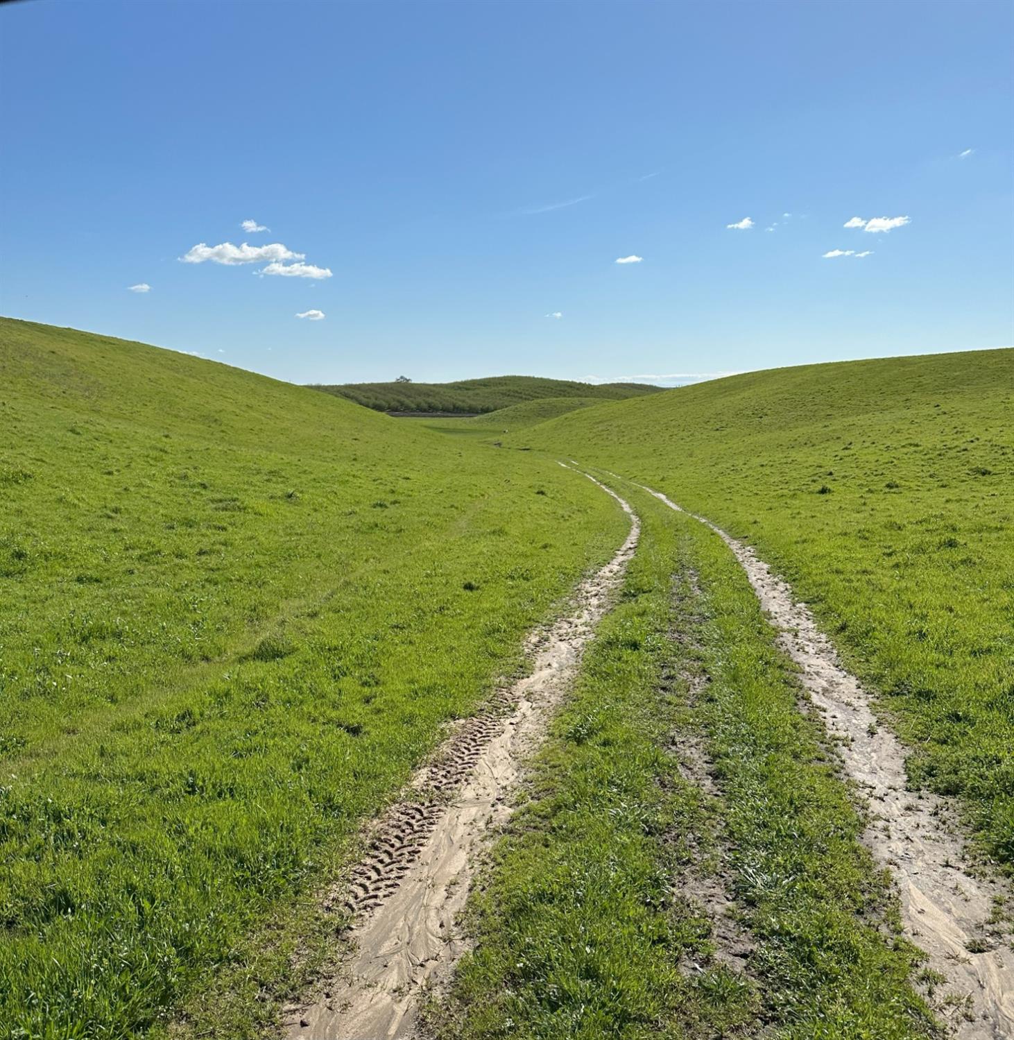 1100 Crabtree Rd, Waterford, CA 95386