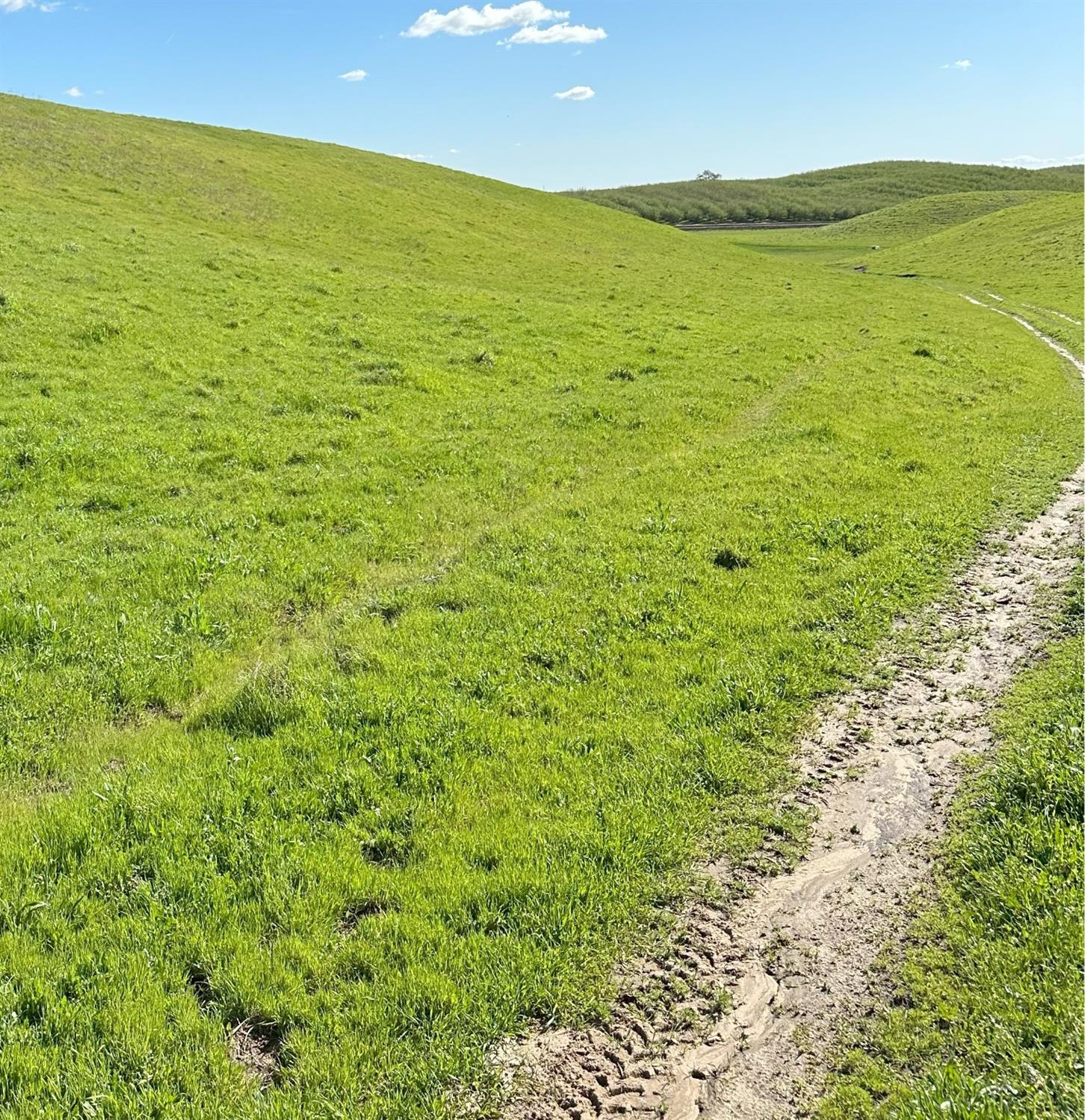 1100 Crabtree Rd, Waterford, CA 95386