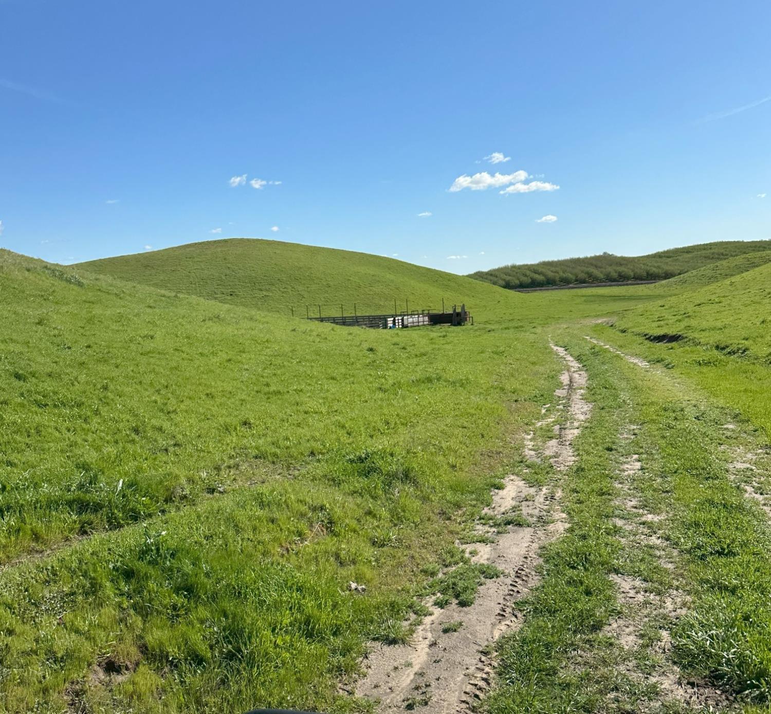 1100 Crabtree Rd, Waterford, CA 95386