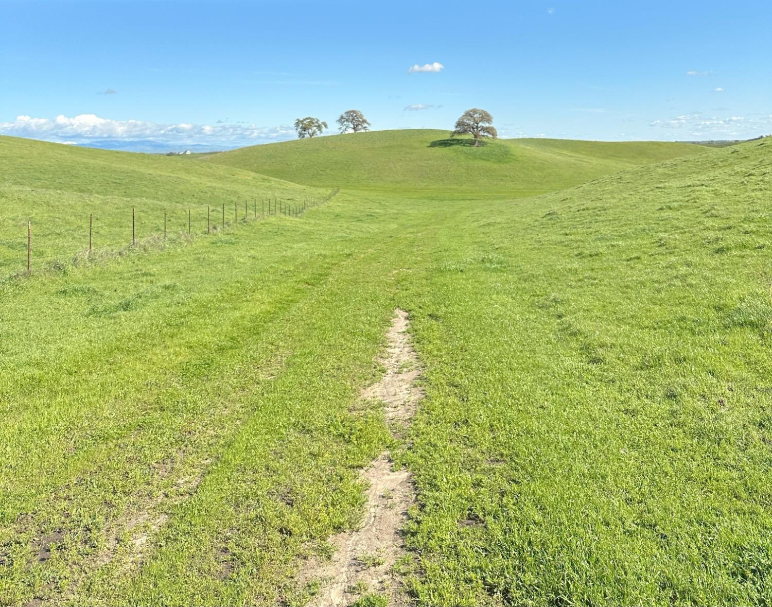 1100 Crabtree Rd, Waterford, CA 95386