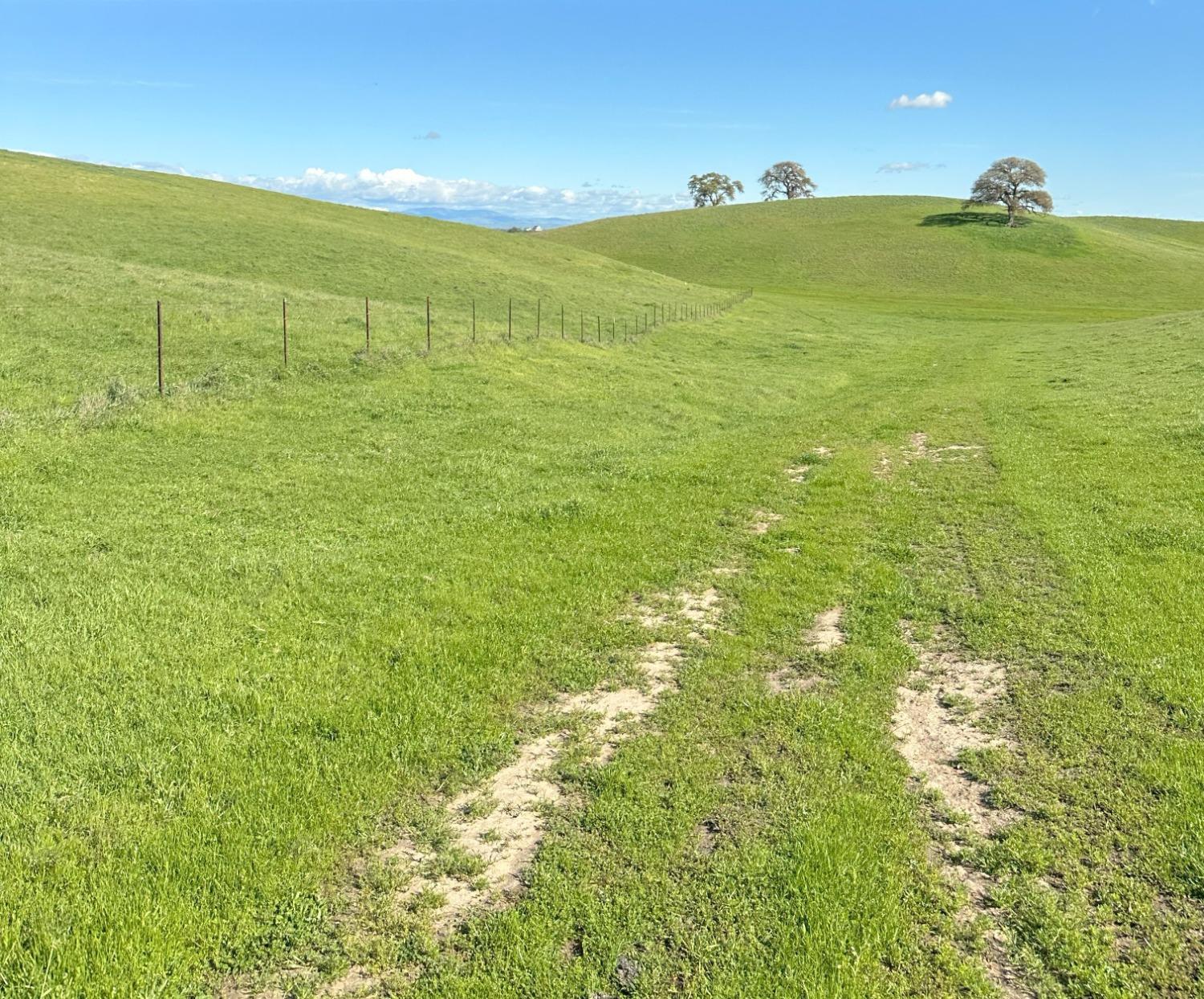 1100 Crabtree Rd, Waterford, CA 95386