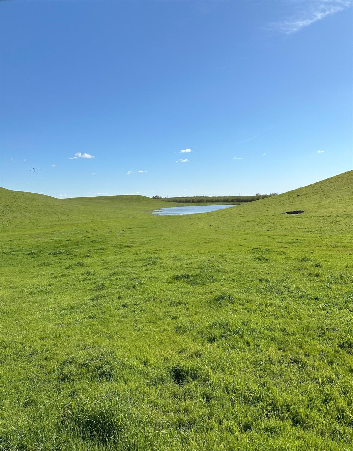 1100 Crabtree Rd, Waterford, CA 95386