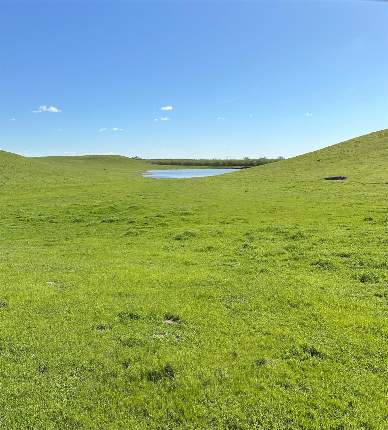 1100 Crabtree Rd, Waterford, CA 95386