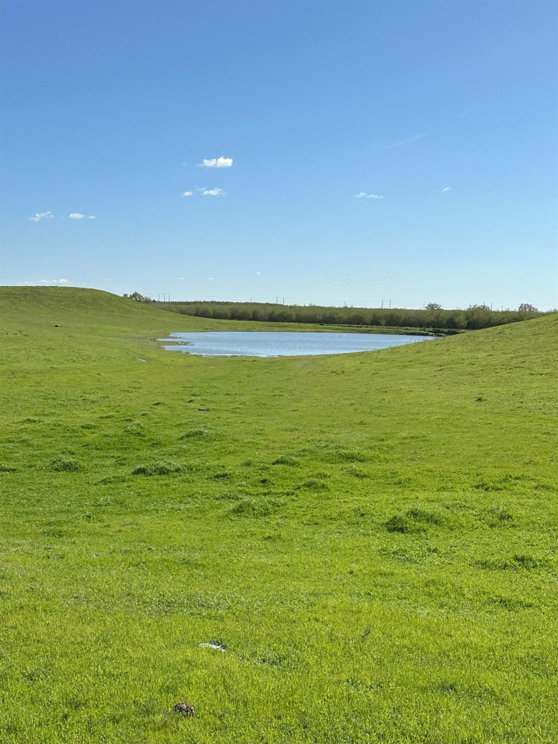 1100 Crabtree Rd, Waterford, CA 95386