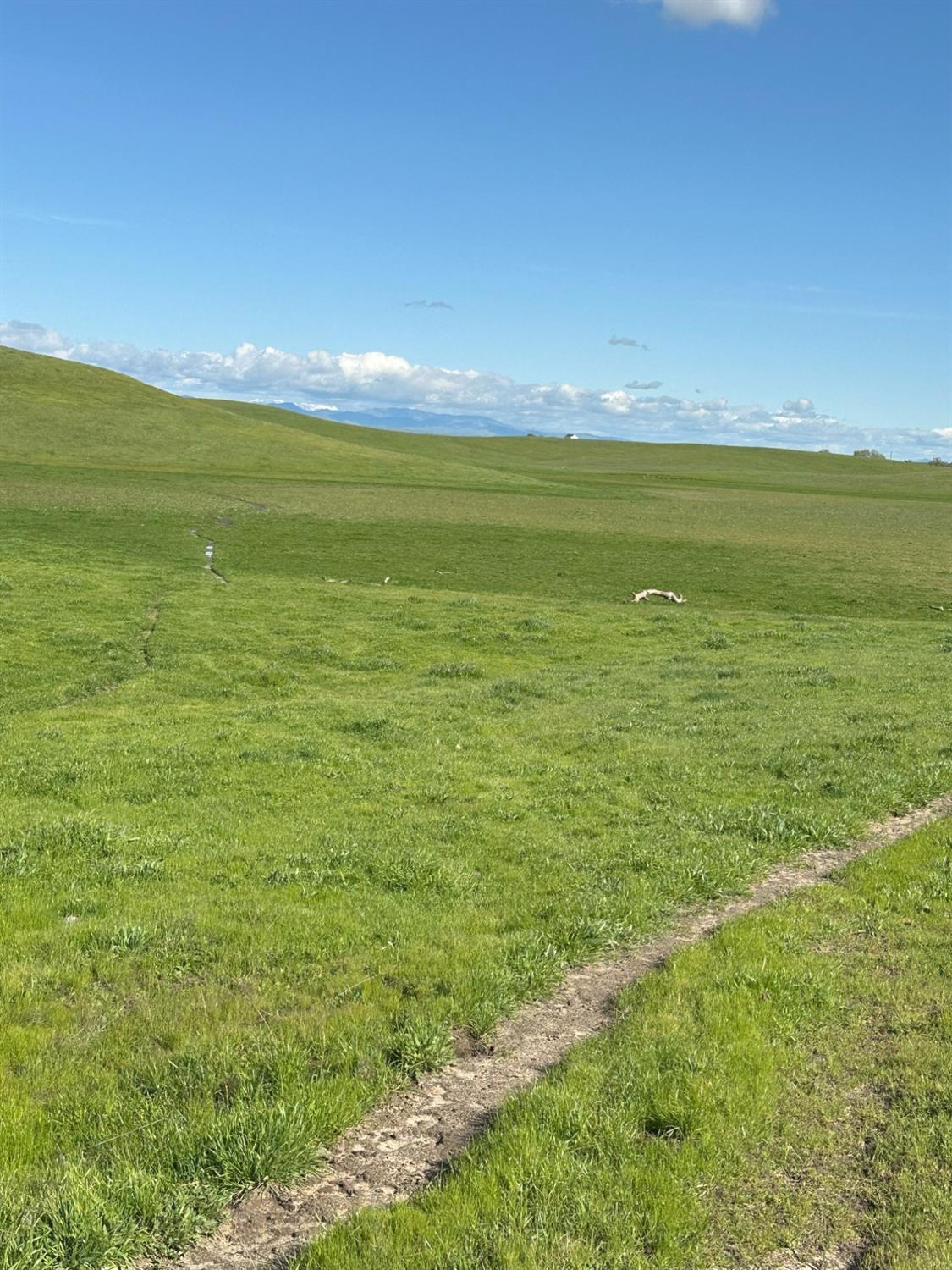 1100 Crabtree Rd, Waterford, CA 95386