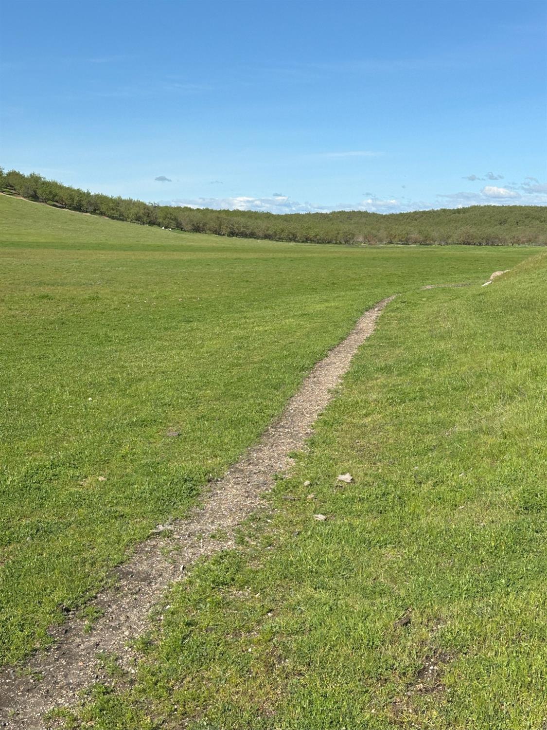 1100 Crabtree Rd, Waterford, CA 95386