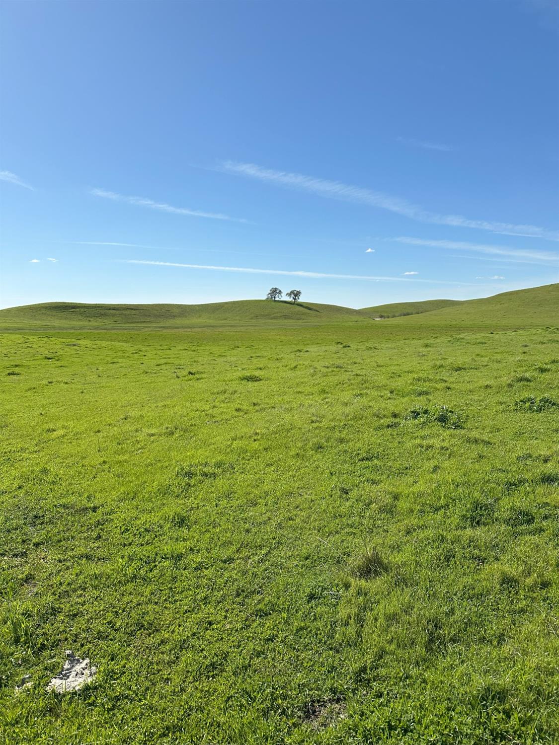 1100 Crabtree Rd, Waterford, CA 95386