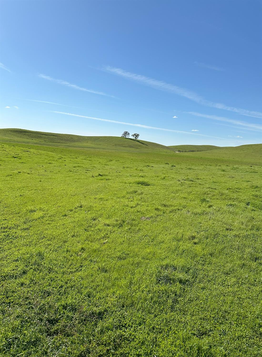 1100 Crabtree Rd, Waterford, CA 95386