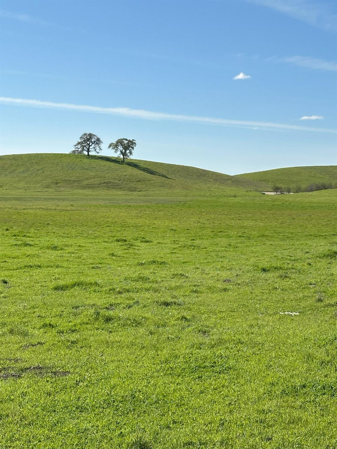 1100 Crabtree Rd, Waterford, CA 95386