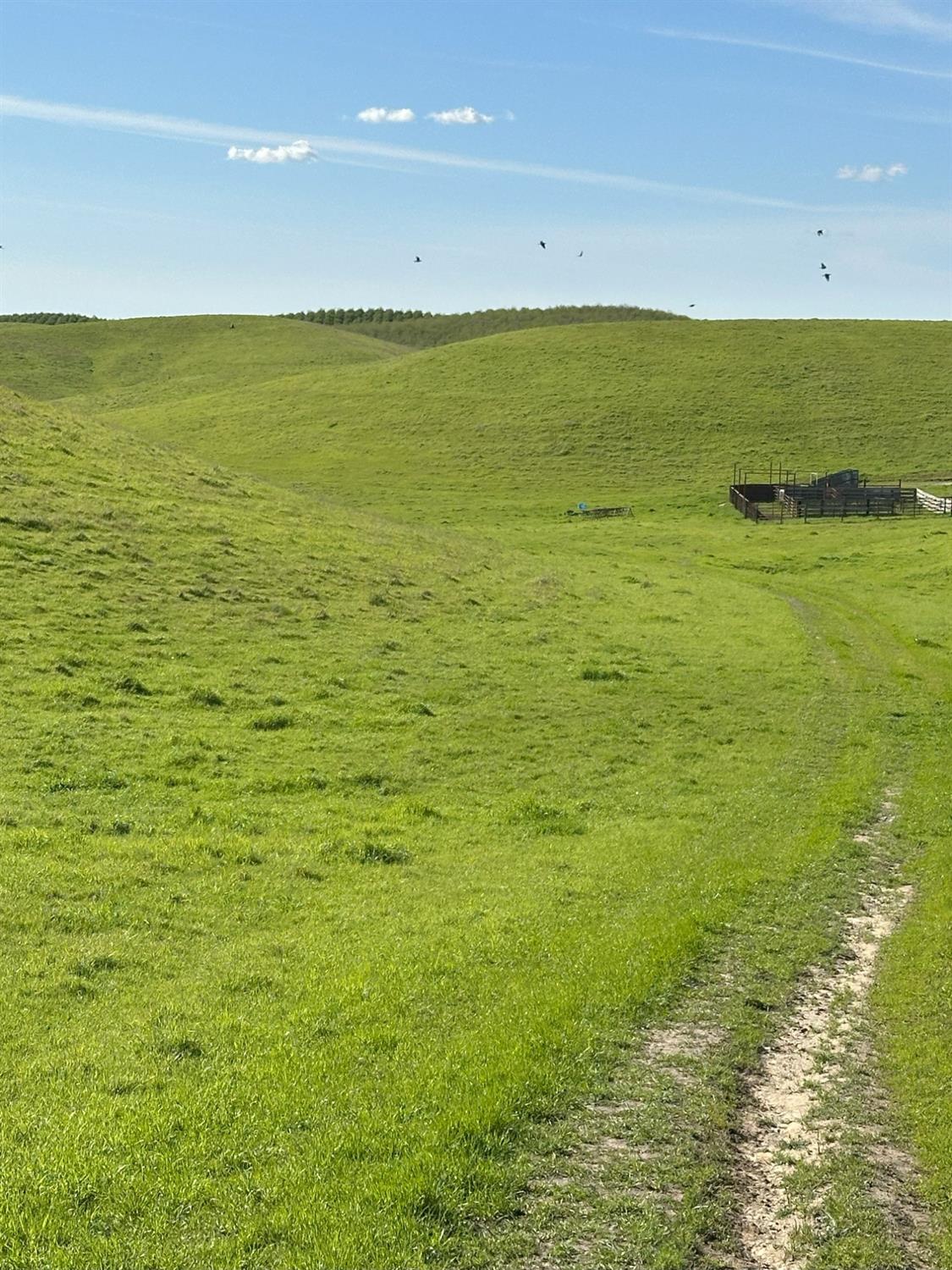 1100 Crabtree Rd, Waterford, CA 95386