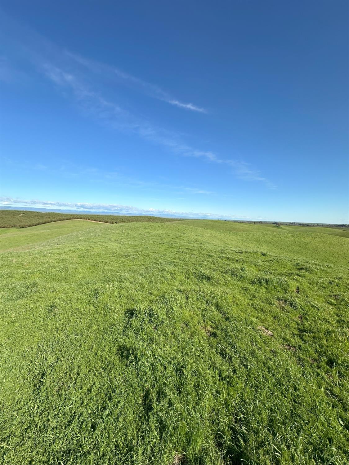 1100 Crabtree Rd, Waterford, CA 95386