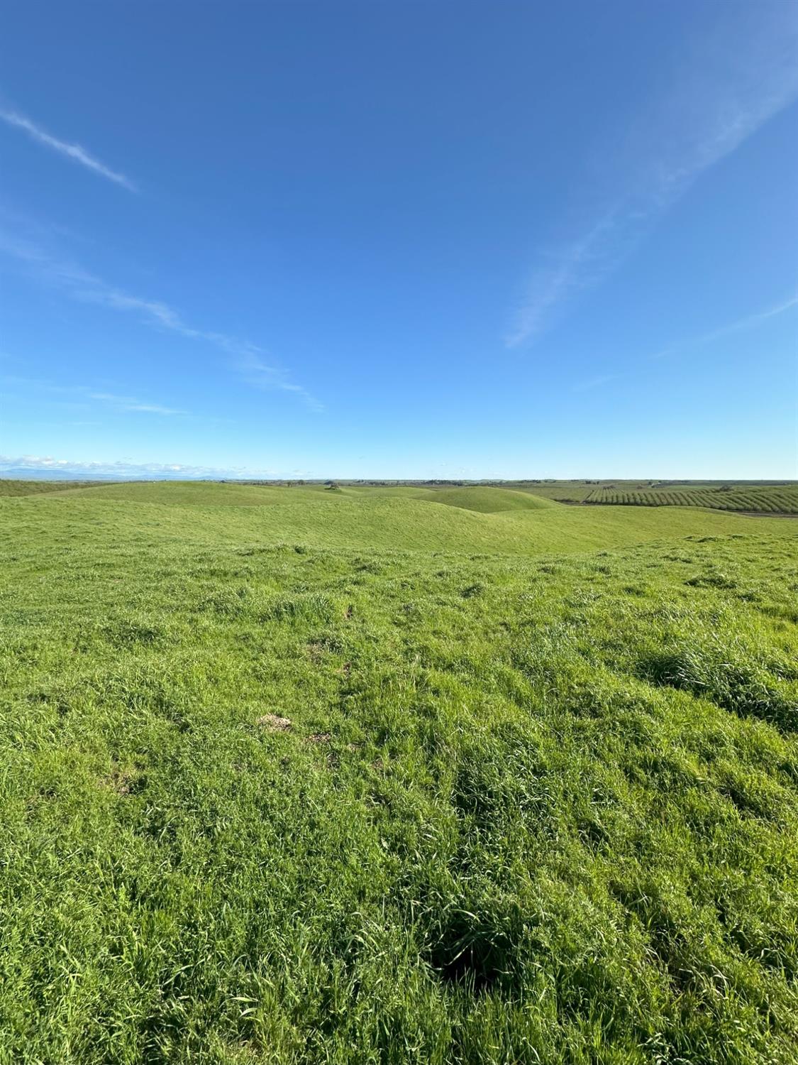 1100 Crabtree Rd, Waterford, CA 95386