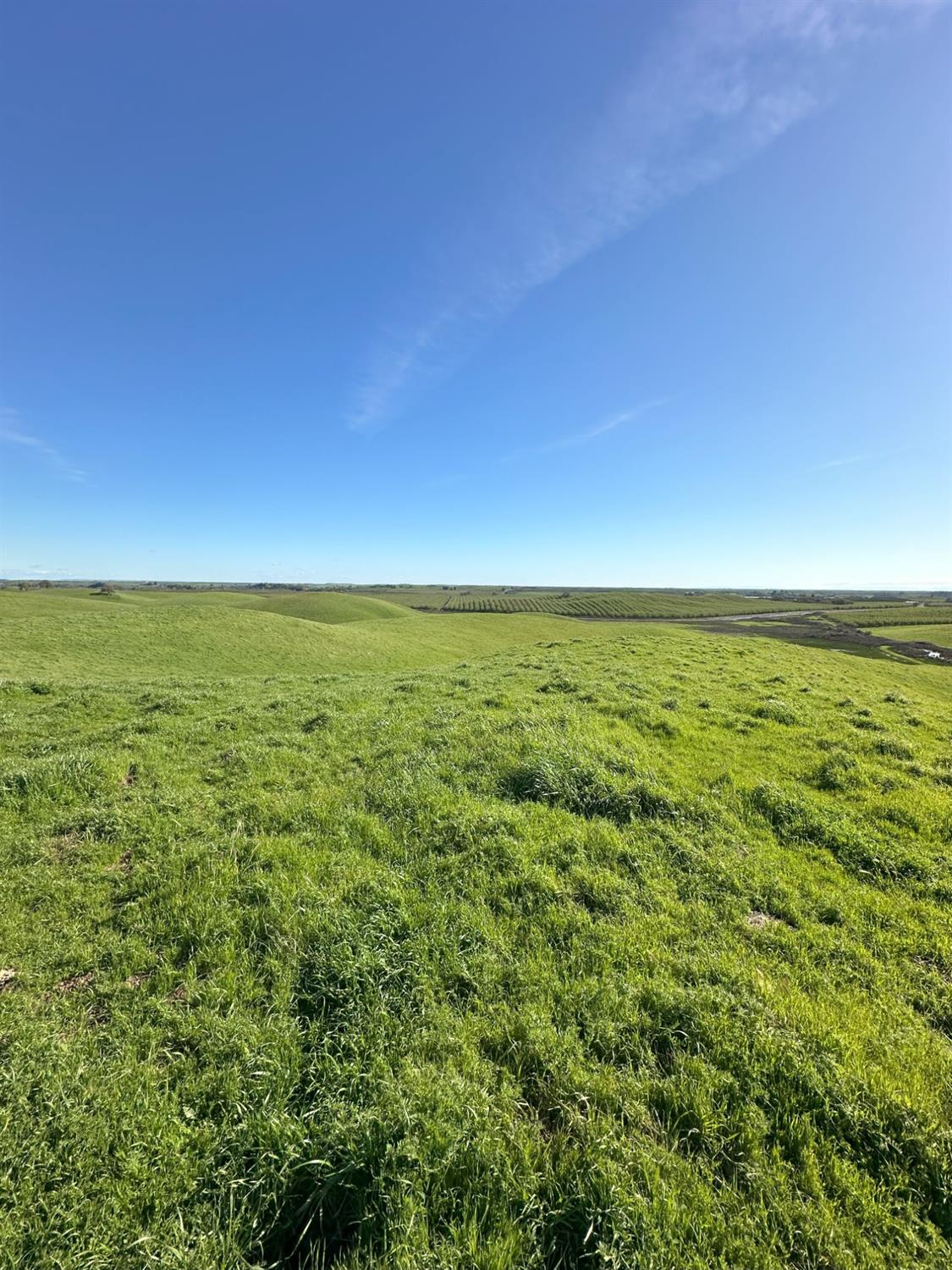 1100 Crabtree Rd, Waterford, CA 95386