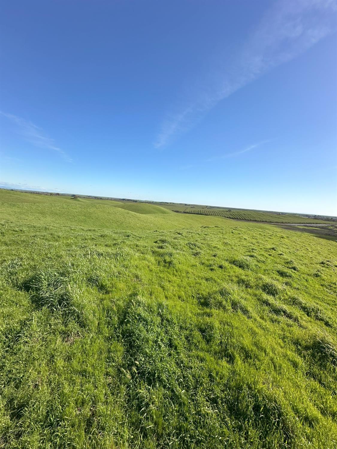 1100 Crabtree Rd, Waterford, CA 95386