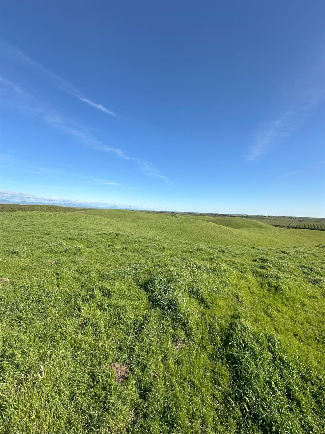 1100 Crabtree Rd, Waterford, CA 95386