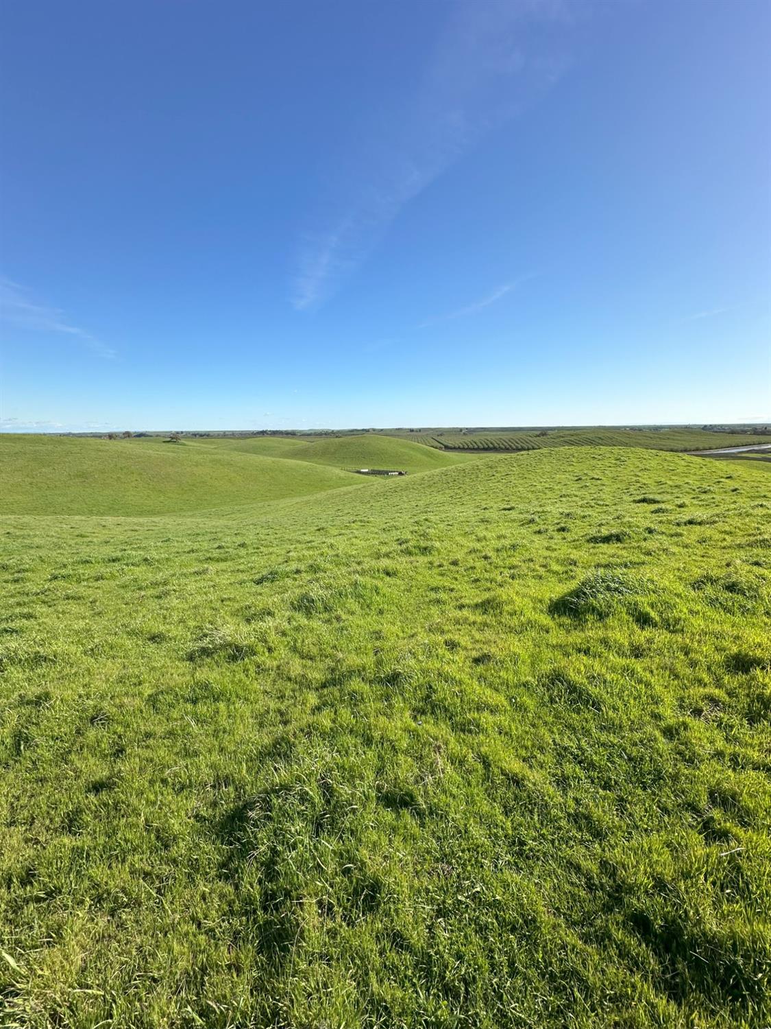 1100 Crabtree Rd, Waterford, CA 95386