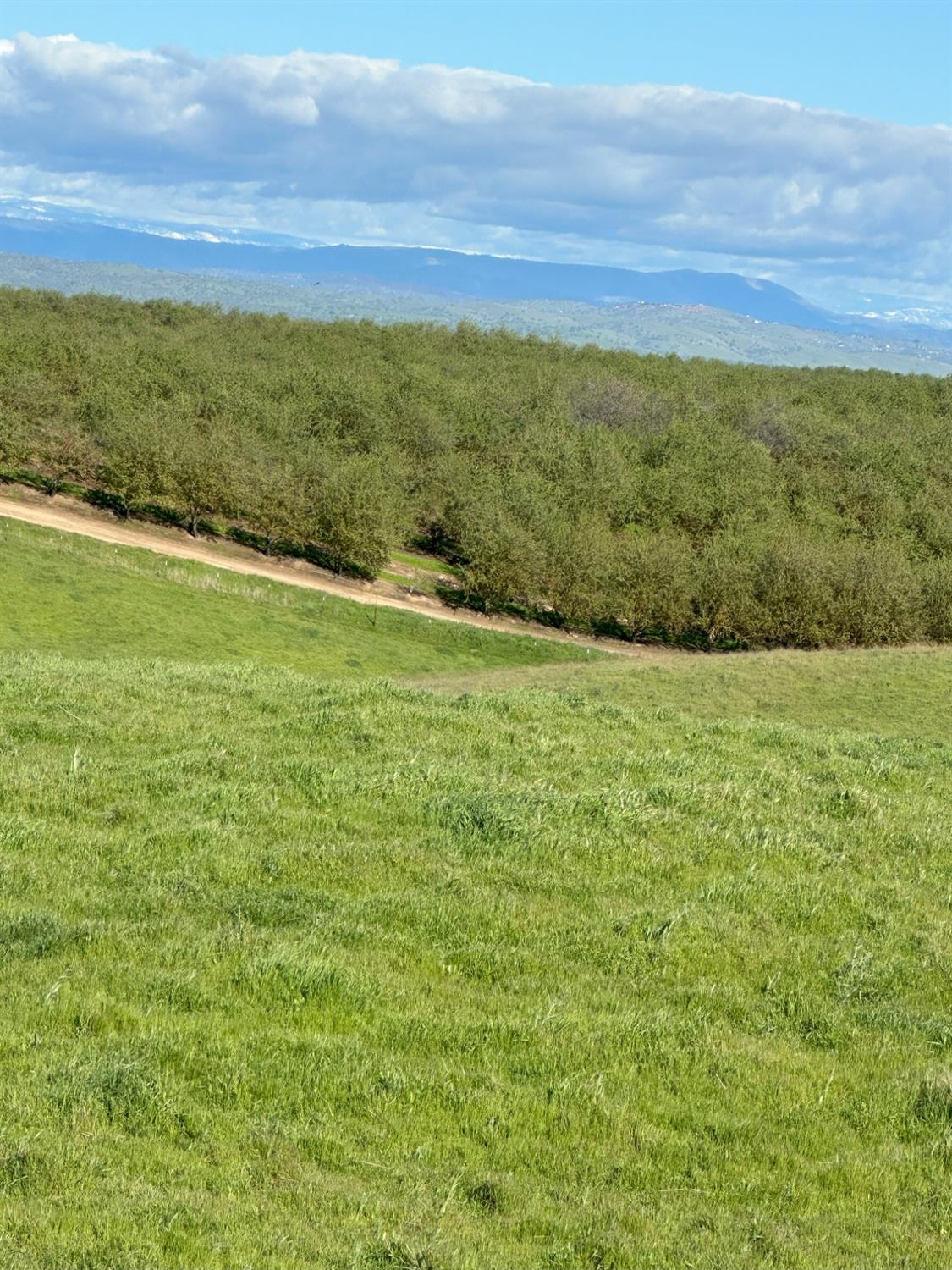 1100 Crabtree Rd, Waterford, CA 95386