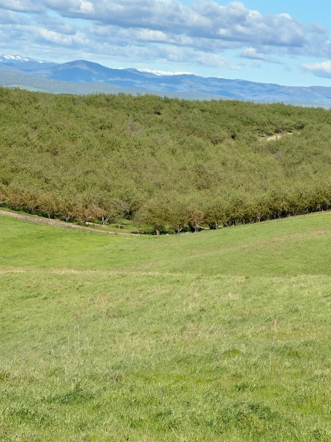 1100 Crabtree Rd, Waterford, CA 95386