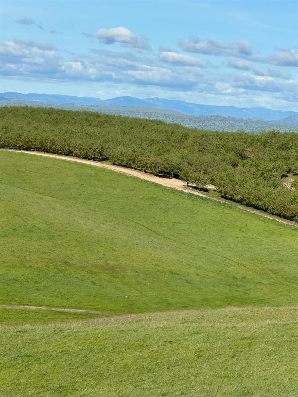 1100 Crabtree Rd, Waterford, CA 95386