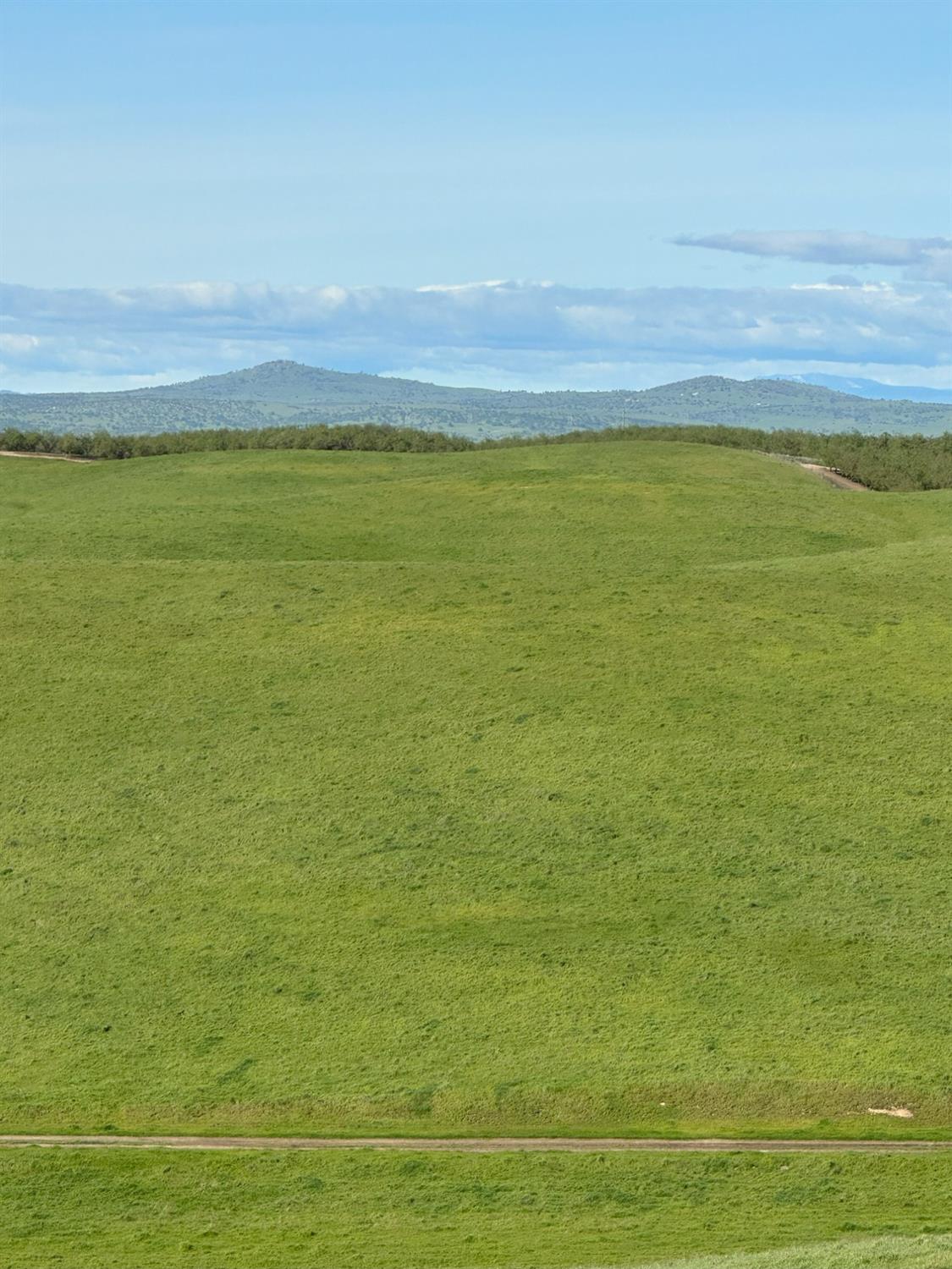 1100 Crabtree Rd, Waterford, CA 95386