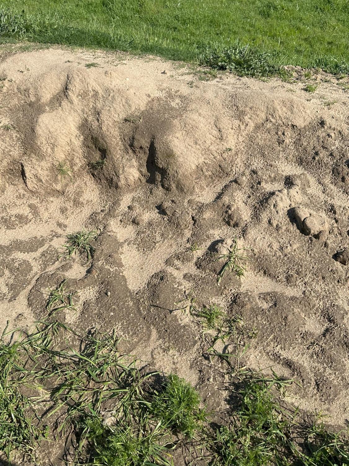 1100 Crabtree Rd, Waterford, CA 95386