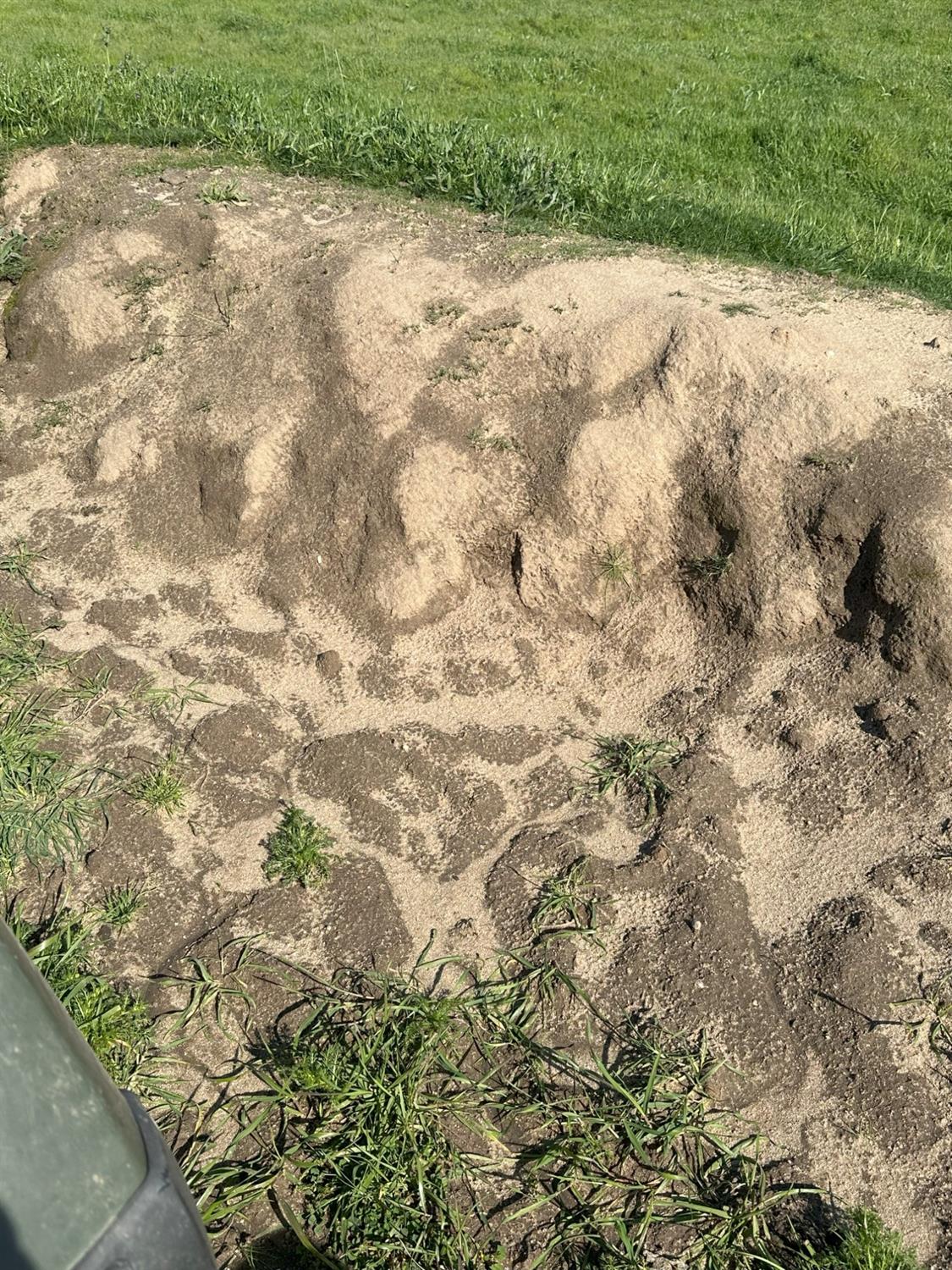 1100 Crabtree Rd, Waterford, CA 95386