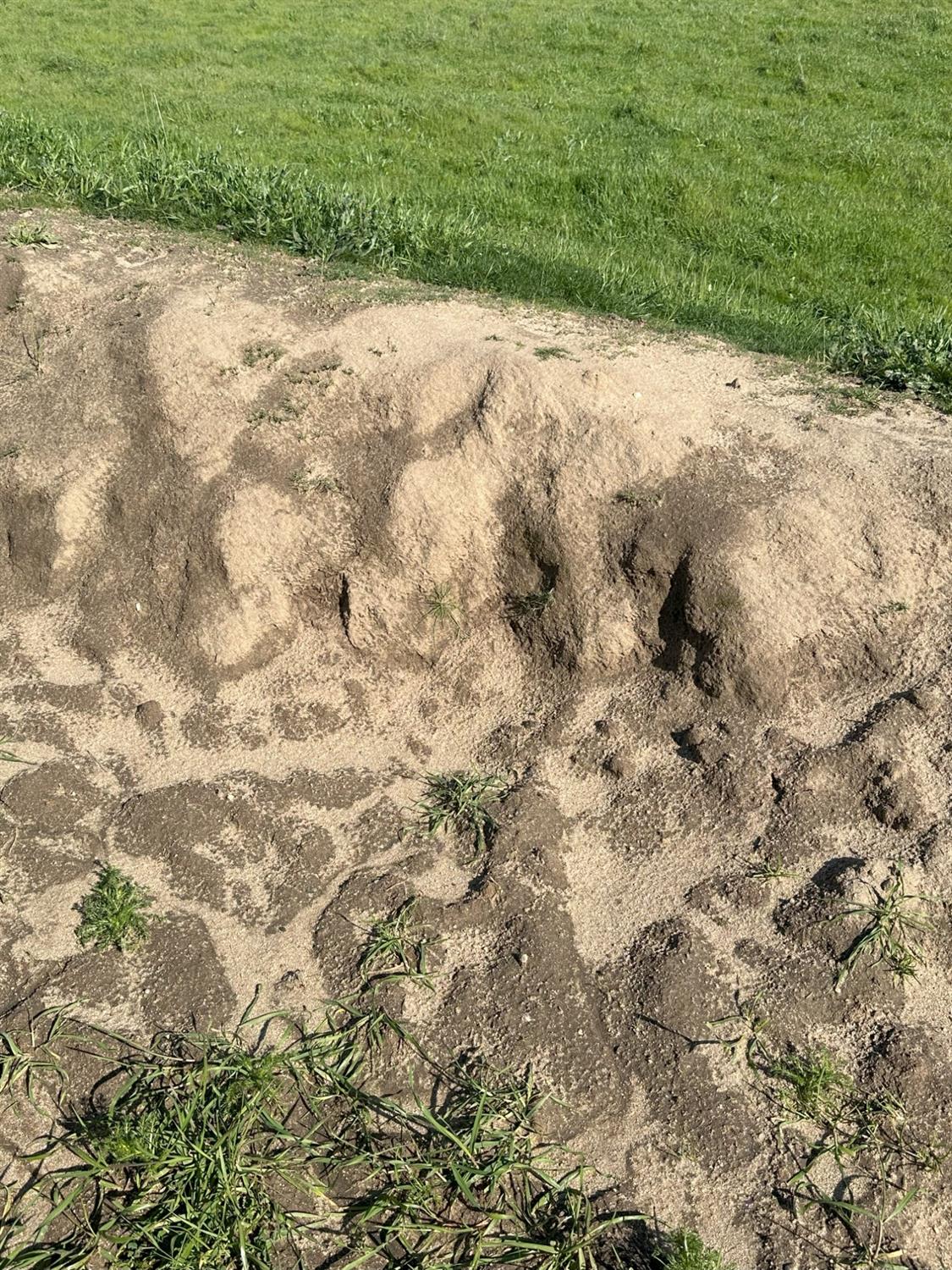 1100 Crabtree Rd, Waterford, CA 95386